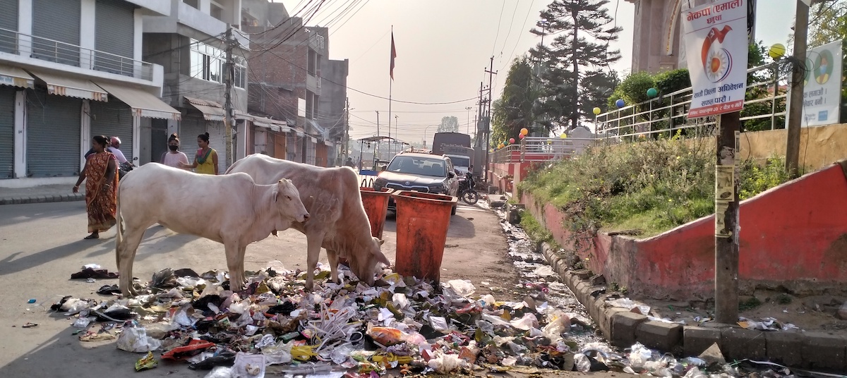 जनकपुरस्थित राजदेवी मन्दिरको गेट अघि थुपारिएको फोहोर। तस्बिर : रोहित महतो